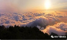 泰山歌最新爆料,揭秘幕后故事与精彩瞬间