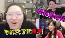 海龙两姐妹互相爆料视频,视频揭露娱乐圈惊人真相