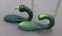 康县网红吃瓜二拼是谁,揭秘康县网红背后的故事