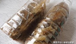 娱乐吃瓜酱不喜欢冬天,娱乐吃瓜酱偏爱暖阳时光