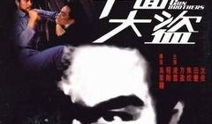 千面大盗在线观看,揭秘网络世界的神秘盗贼