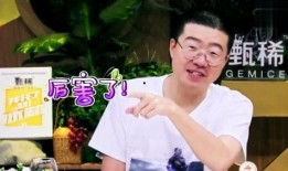 何炅老家爆料视频播放,家乡风情与童年回忆