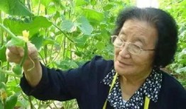 娱乐吃瓜酱不喜欢冬天,娱乐吃瓜酱偏爱暖阳时光