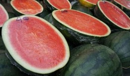 康县网红吃瓜二拼是谁,揭秘康县网红背后的故事