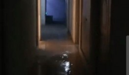 一个地下室最新爆料,最新爆料揭示惊人真相