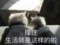 最新房间爆料文案搞笑,笑料百出，爆笑连连，你绝对猜不到的搞笑真相！