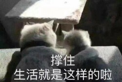 最新房间爆料文案搞笑,笑料百出，爆笑连连，你绝对猜不到的搞笑真相！