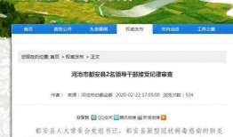都安新闻在线爆料电话,揭秘热线背后的新闻故事