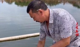 吃瓜喂鱼电影免费观看,免费观影之旅，畅享电影盛宴