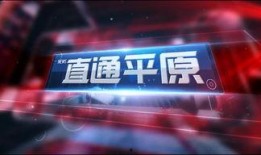 新乡今日爆料新闻直播回放,直播回放揭示最新热点事件