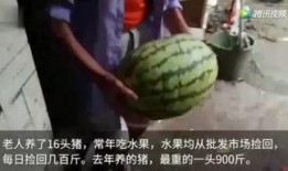 免费的吃瓜视频,带你领略娱乐圈风云变幻