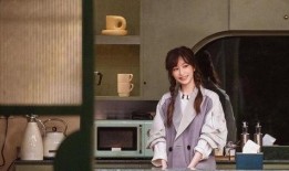 记者爆料王心凌黑料视频,真相与谣言的交织