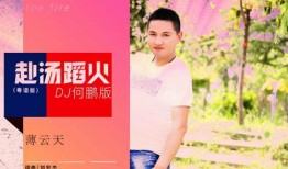 赴汤蹈火在线观看,热血燃烧的消防英雄传奇