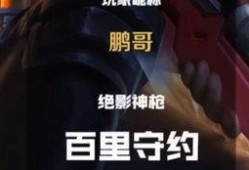 壮哥的王者爆料视频大全,揭秘热门英雄技能与游戏策略