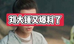 刘大锤今日爆料最新消息,今日热点事件最新进展揭秘