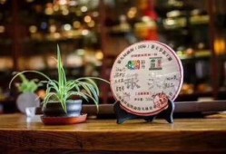 糟茶爆料最新视频大全集