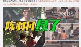 王四粉丝爆料视频大全最新,独家揭秘幕后故事