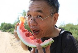 吃瓜动作是免费的吗,揭秘无门槛的吃瓜动作