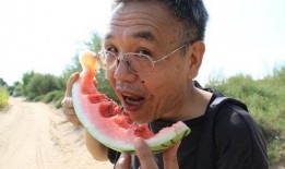 吃瓜动作是免费的吗,揭秘无门槛的吃瓜动作