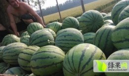 西安最新吃瓜爆料事件,揭秘神秘事件背后的真相