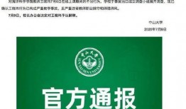 中山王晓玮爆料新闻,揭秘新闻背后真相