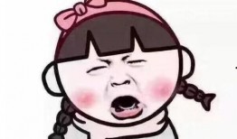 西湖谣言学生爆料事件视频,学生爆料视频揭开真相之谜