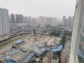 南阳光武中路最新爆料,繁华地段焕新升级，未来潜力无限