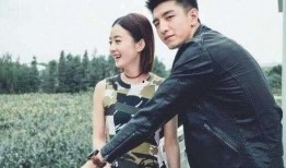 娱乐圈双男主爆料文推荐,揭秘幕后真相与情感纠葛