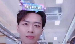 刘佳梁网红爆料视频播放,揭秘背后真相