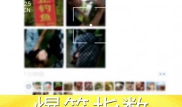 爆料视频每天更新几集啊,揭秘视频更新集数揭秘