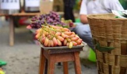 葡萄爆料视频完整版