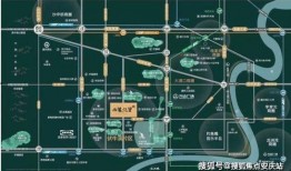 重庆花姐爆料视频最新版,事件真相与幕后黑幕