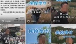 宇哥爆料视频,精彩瞬间与幕后故事大公开