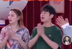 娱乐圈的一些爆料是什么,揭秘明星背后的故事与真相