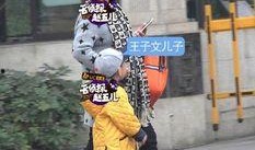 王子文爆料儿子视频,亲子互动温馨满满