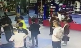 刘二狗直播爆料视频大全,揭秘视频大全背后的精彩瞬间