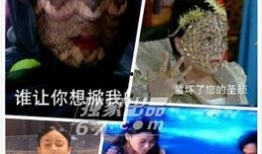 蜜蜂仙子视频有网友爆料,网友爆料揭秘神秘现象