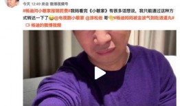 杨迪妈妈爆料高中生视频