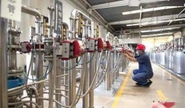 淀粉厂最新爆料,最新爆料揭示行业变革与未来趋势
