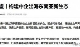 印度政府爆料视频大全,真相与争议并存