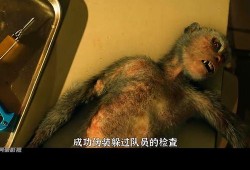 埃博拉病毒电影在线观看,生死边缘的惊悚求生