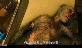 埃博拉病毒电影在线观看,生死边缘的惊悚求生