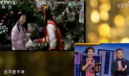 陈力爆料欧阳奋强视频全集,揭秘娱乐圈背后的真相