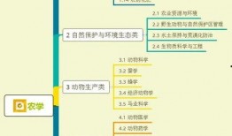 鸽子姐姐爆料视频大全集,揭秘娱乐圈幕后真相