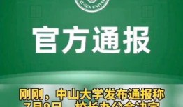 中山王晓玮爆料新闻,揭秘新闻背后真相