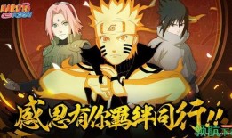 火影最新青水爆料视频下载,神秘忍者组织浮出水面