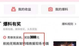 南阳头条视频爆料,揭秘事件背后真相