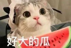 网红吃瓜网址小鱼,网红吃瓜达人小鱼带你揭秘娱乐圈最新热点