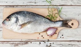 吃瓜喂鱼电影免费观看,免费观影之旅，畅享电影盛宴