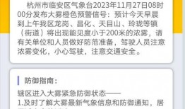 临安新闻爆料平台官网,实时资讯，见证临安发展瞬间